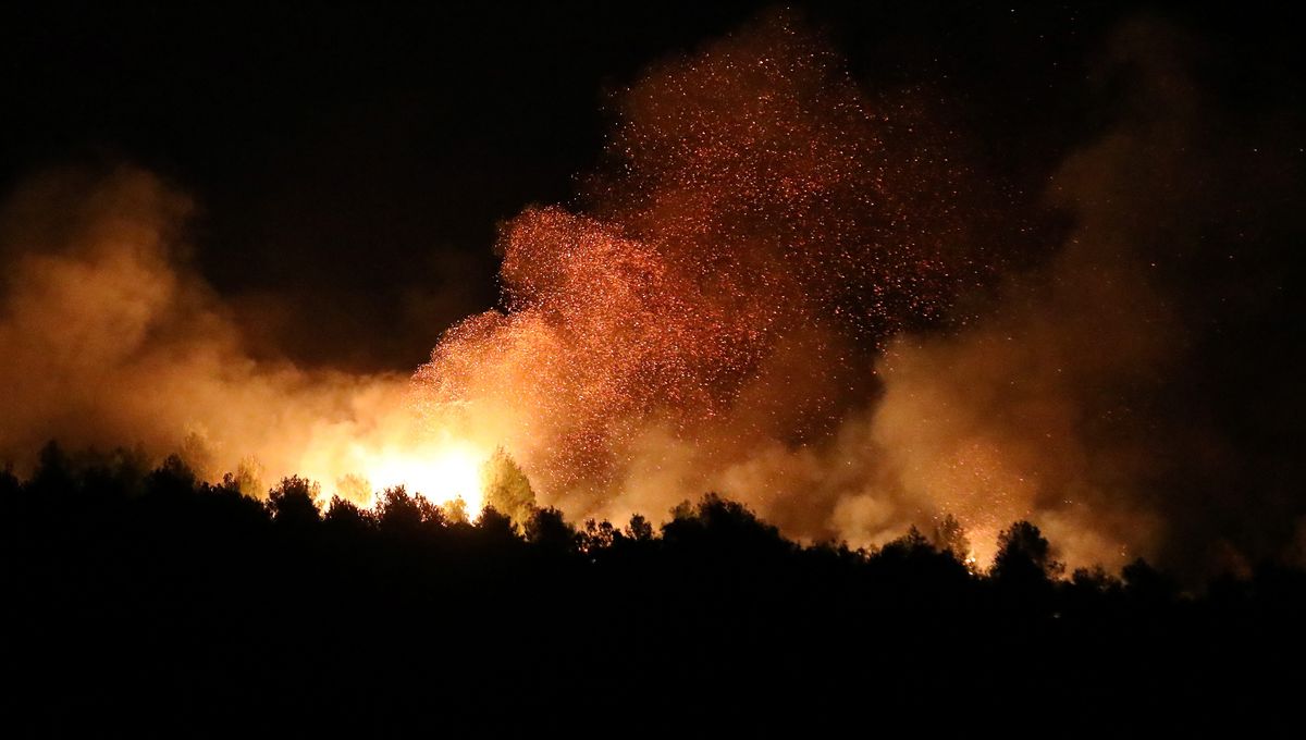 découvrez comment obtenir des indemnisations pour les incendies dans le sud de la france. notre guide vous accompagne à travers les démarches et les droits des victimes, afin de faciliter votre processus de réparation et de soutien après un sinistre.