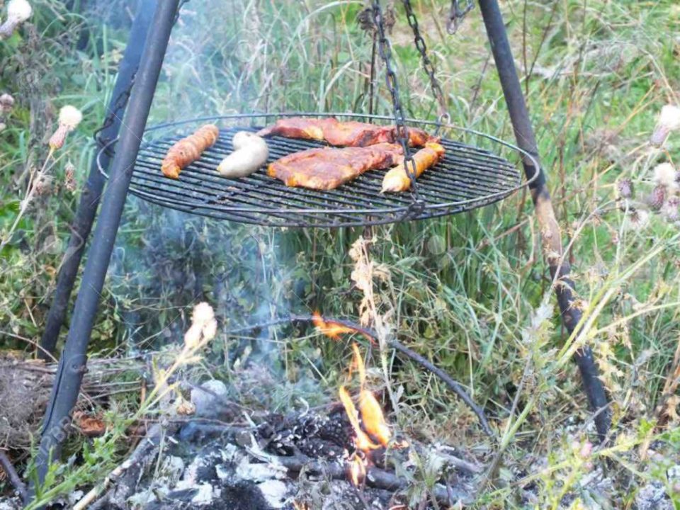 découvrez les démarches et conditions pour obtenir une indemnisation après un incendie de forêt. guide sur vos droits, les documents à fournir et les aides disponibles pour les victimes d’incendie forestier.