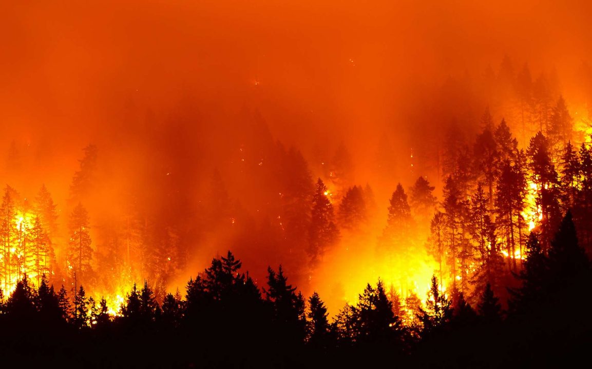 découvrez l’actualité sur les incendies en france : causes, conséquences, zones touchées et conseils de prévention pour rester informé et protégé.
