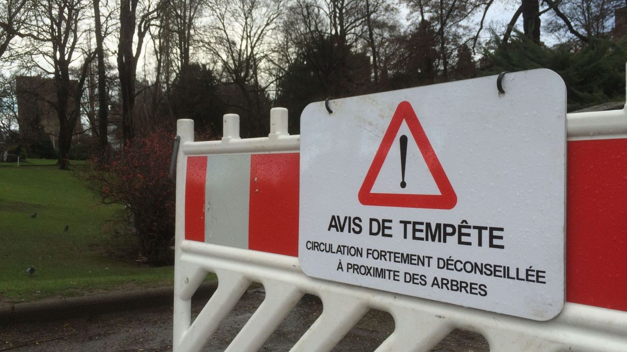 découvrez comment les tempêtes influencent vos assurances : indemnisations, démarches, garanties et conseils pour être bien protégé en cas d’intempéries.