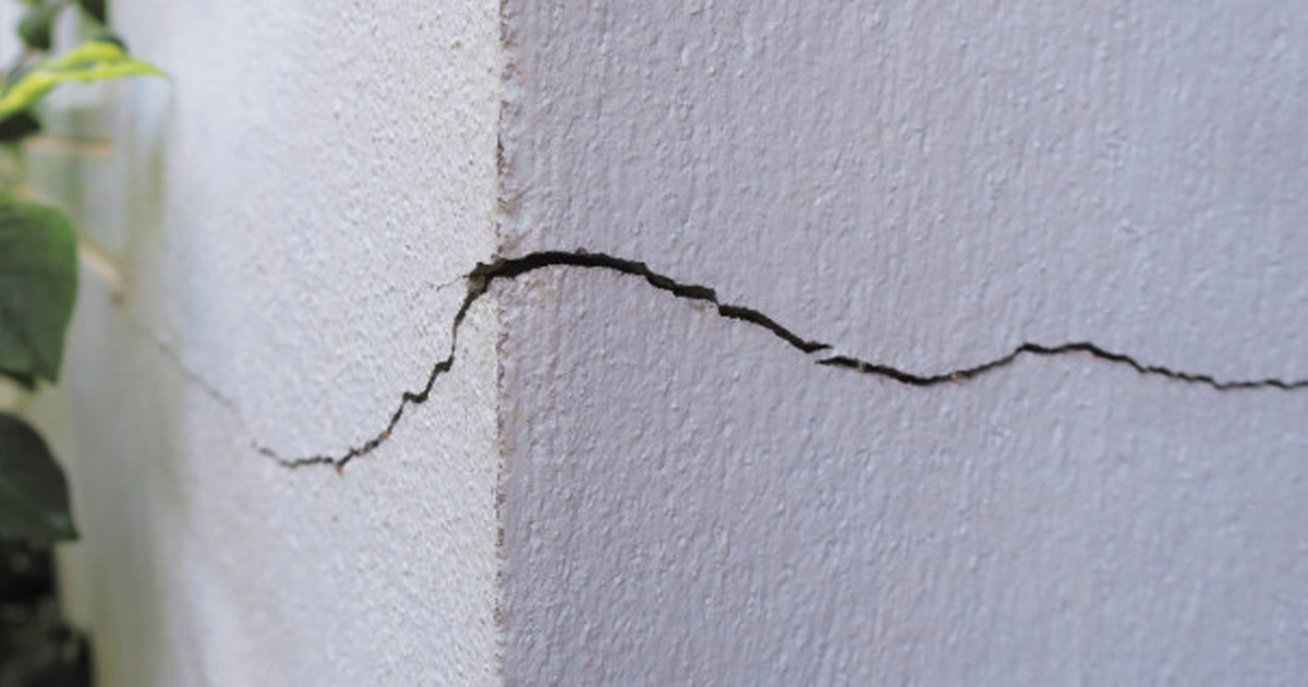 découvrez comment la végétation envahissante et les cuves à eau mal entretenues peuvent causer des fissures coûteuses dans les maisons, et apprenez à protéger votre habitation efficacement.